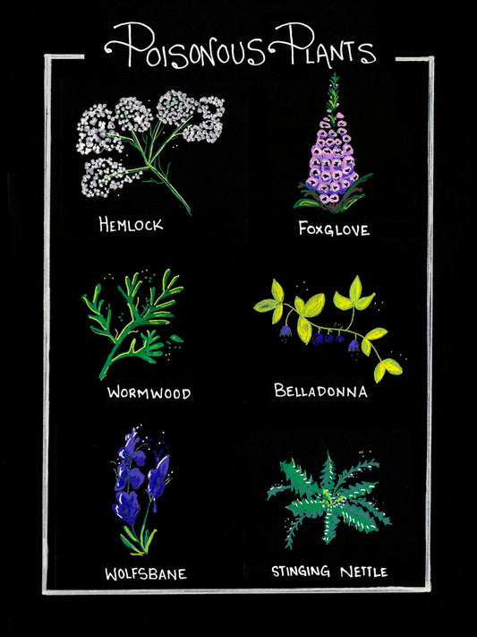 "Poisonous Plants"- Note Cards